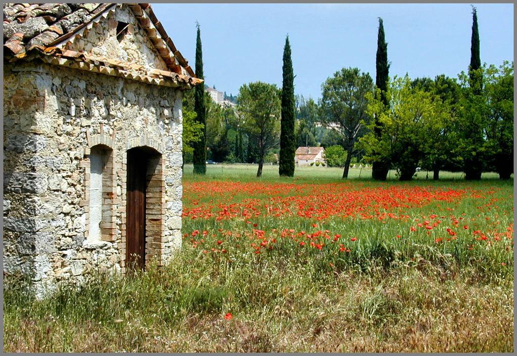 Provencal House In Fayence With Pool & Indoor Spa 객실 사진